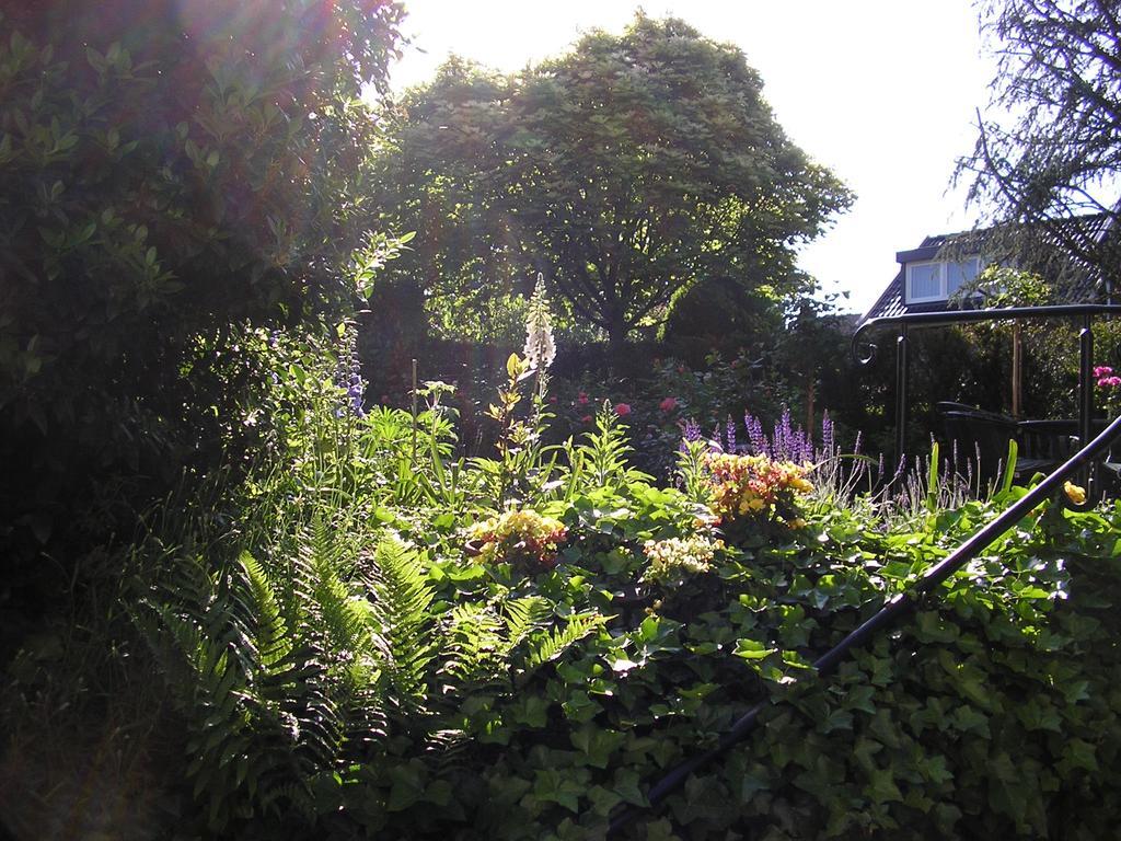 Walnut Lodge Bed & Breakfast Noorbeek Eksteriør bilde